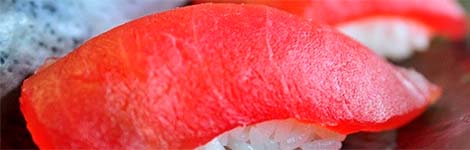 Maguro/Tuna